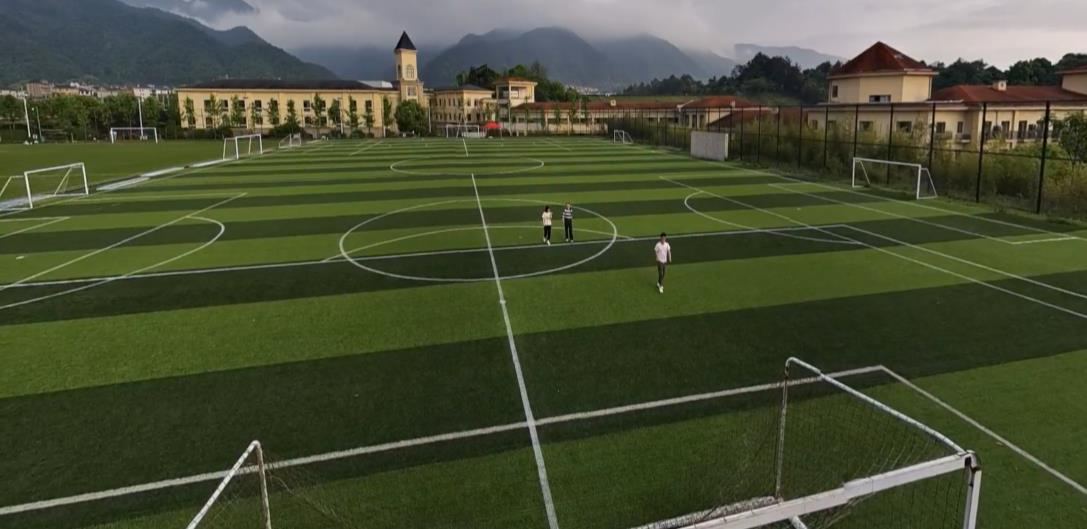 Vista panoramica: il campo intero visibile in una sola immagine